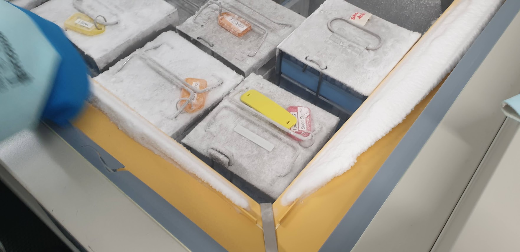 Deep Freeze Temperature Monitoring