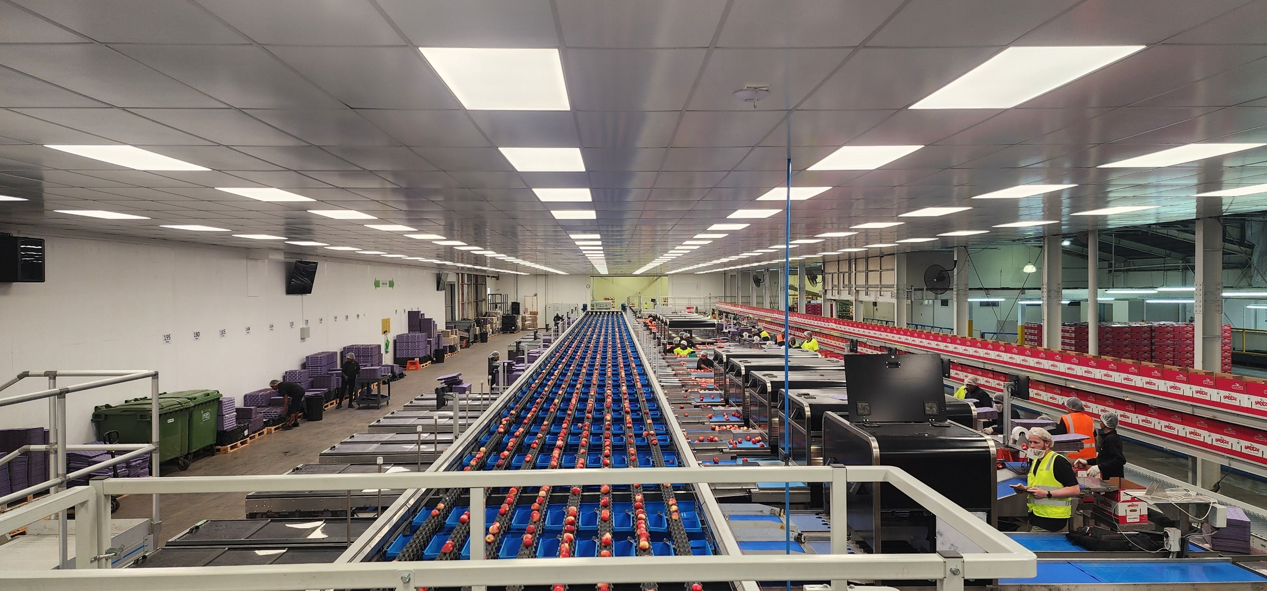 Food Processing Packing Line Temperature Monitoring