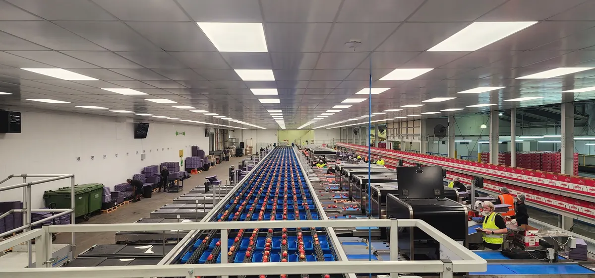 A produce packing line at FreshCo