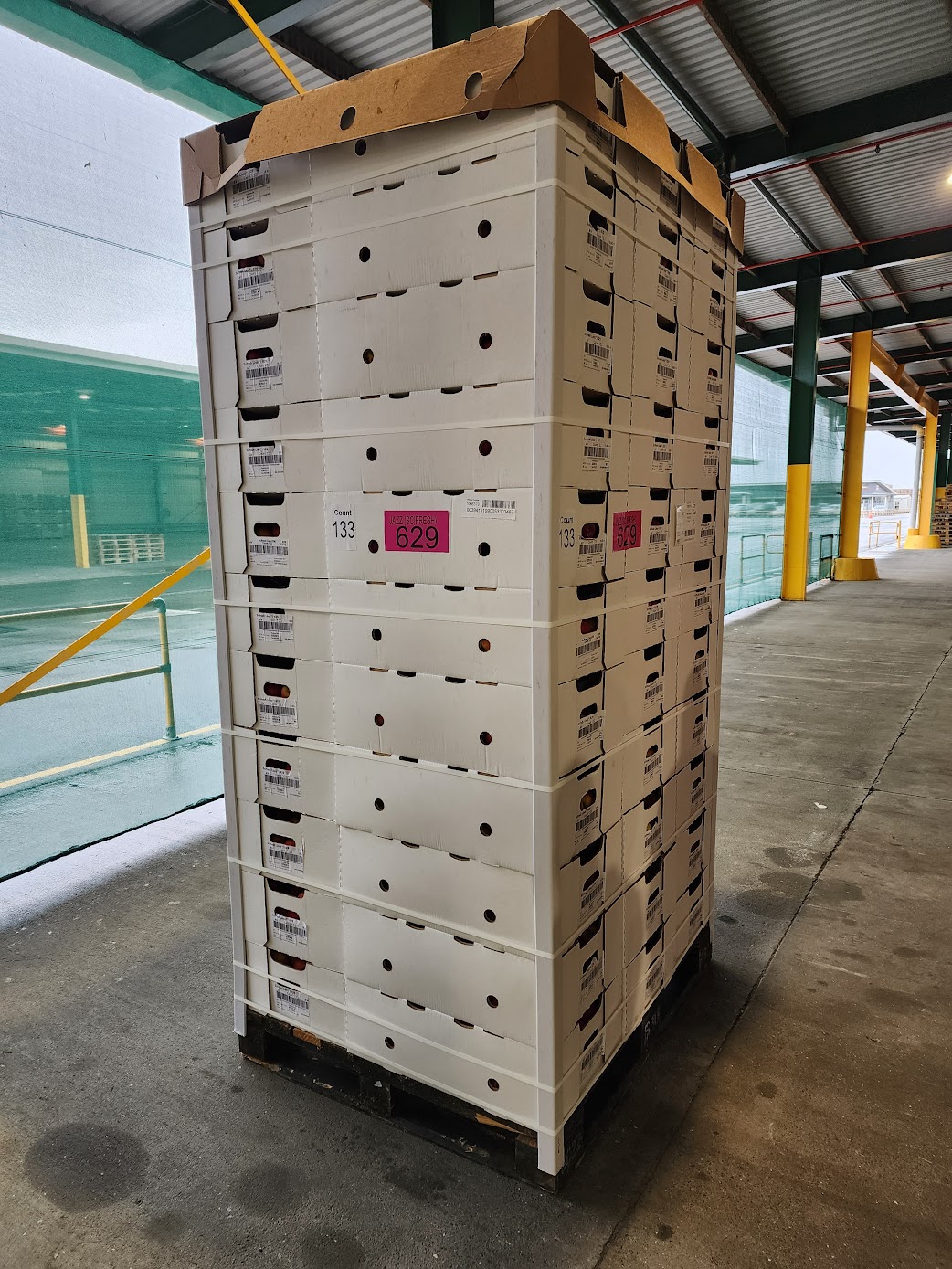 Temperature Monitored Apple Storage